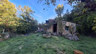 Character House in Woodland Setting