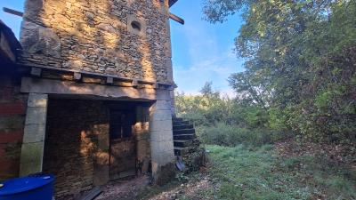 Character House in Woodland Setting