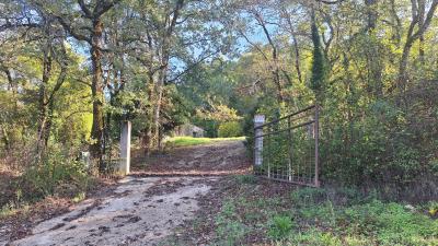 Character House in Woodland Setting