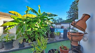 Detached Villa with Swimming Pool