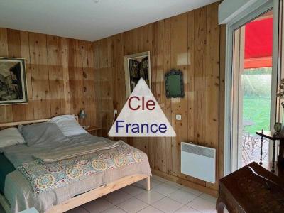 Two Houses with Swimming Pool