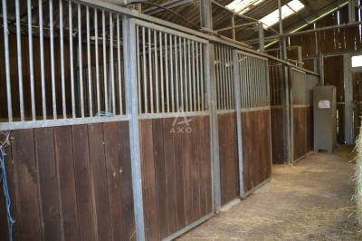 Equestrian Property on 6 Hectares of Pasture Land