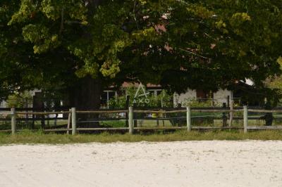 Equestrian Property on 6 Hectares of Pasture Land