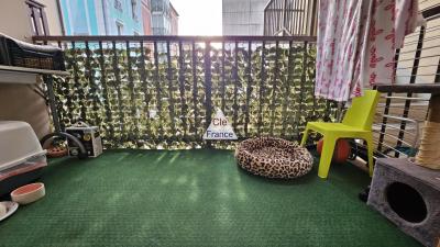 Two Bedroom Apartment Sold Rented