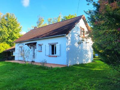 Detached Country House with Mature Gardens