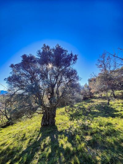 Beautiful Plot of Land in the Countryside
