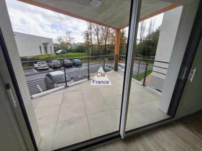 Apartment in Great Location