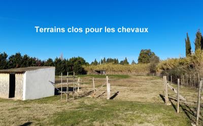 Exceptional Property with Equestrian Facilities