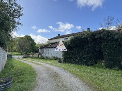 Large House with Huge Potential