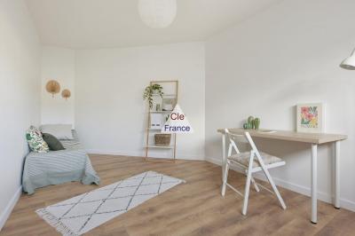 Lovely Newly Renovated Apartment