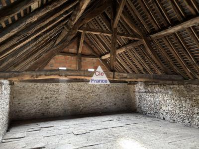 Village House to Renovate with Garden