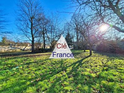 Beautiful House with Character and Garden