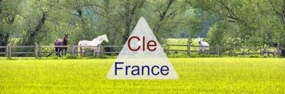 Equestrian Facilities with Stables and Main House