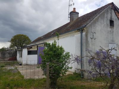 Detached House with Garden