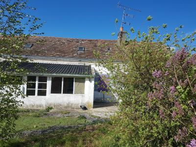 Detached House with Garden