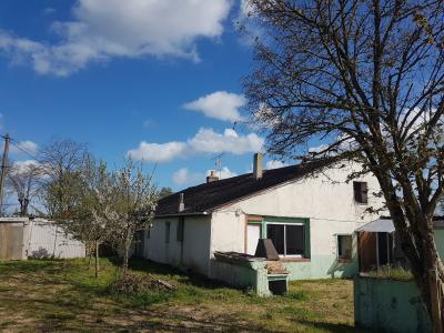 Detached House with Garden