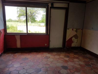 Detached House with Garden