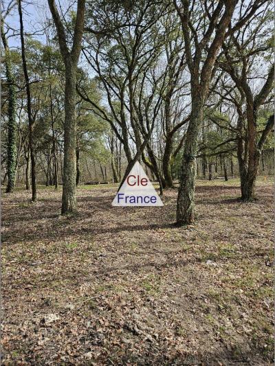 Detached House with Land and Lake