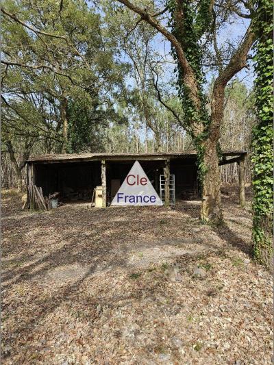 Detached House with Land and Lake