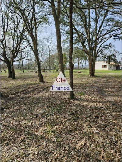 Detached House with Land and Lake