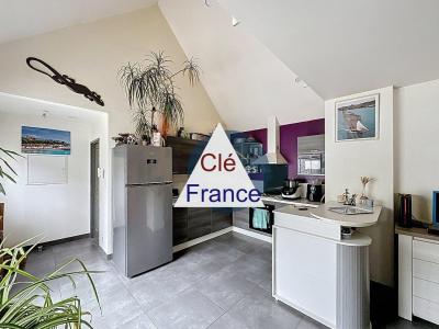 Fully Renovated House with Garden