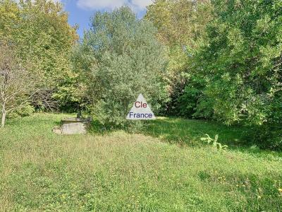 Detached House with Swimming Pool in Garden