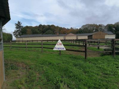 Equestrian Property on Seven Hectares