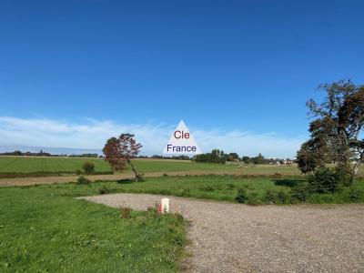 Serviced Building Plot For Sale