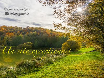 Manor House with Stream and Lake in 88 Hectares
