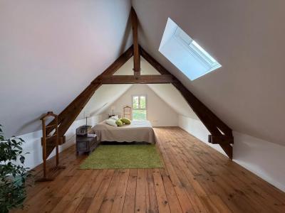 Fully Renovated House With Terrace And Garden