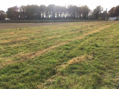 - Land - Aquitaine - For Sale - 7545t-ey