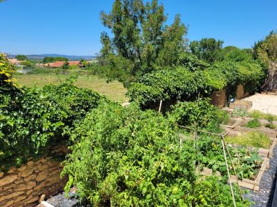 Immaculate Villa with Independent Guest Gite and Pool