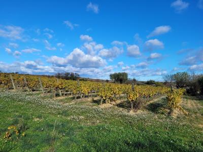 Flat Building Plot in A Lovely Location With Views