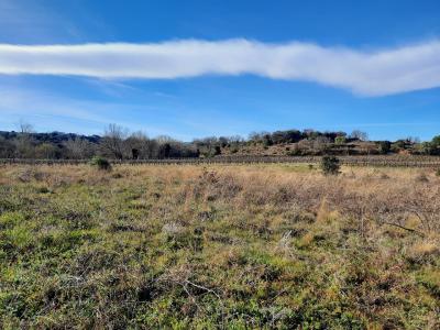 Former Vineyard of 4620m2, Not Constructible As Located In Natural And Agricultural Zones