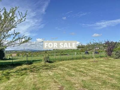 Property For Sale