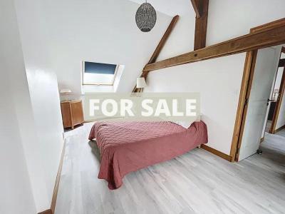 Detached House with Lovey Garden