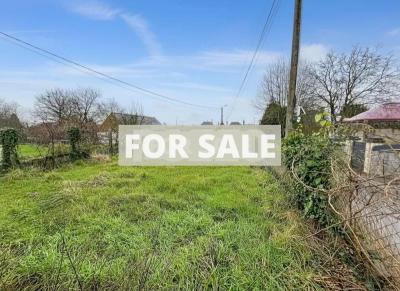 Detached House with Lovey Garden