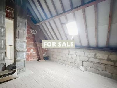 Detached Country House with Outbuilding