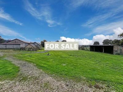 Detached Country House with Outbuilding