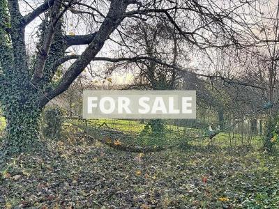 Detached House with Landscaped Garden