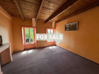 Main Country House with Huge Outbuilding