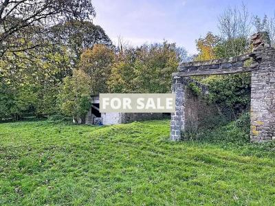 Detached Country House with Outbuilding