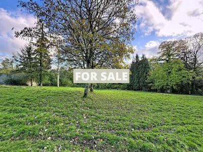 Detached Country House with Outbuilding