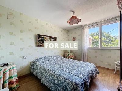 Lovely Stone Build Cottage Not Far far the Coast