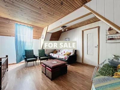 Lovely Stone Build Cottage Not Far far the Coast