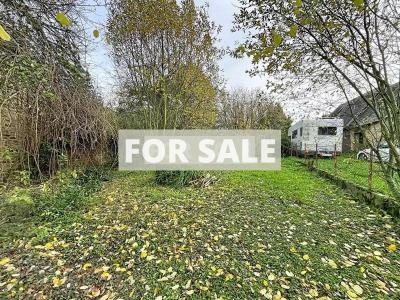 Village House with Garden, Ideal Holiday Home