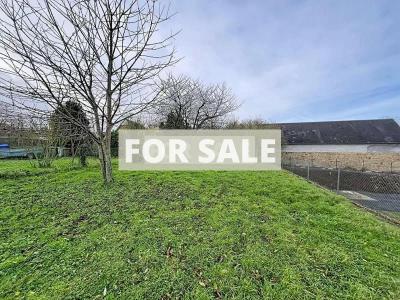 Village House with Garden, Ideal Holiday Home