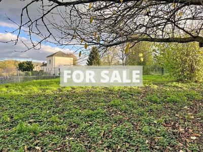 Village House with Garden, Ideal Holiday Home