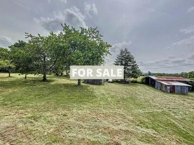 Detached Country House With Outbuildings