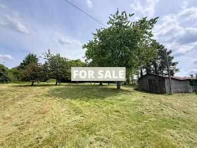 Detached Country House With Outbuildings